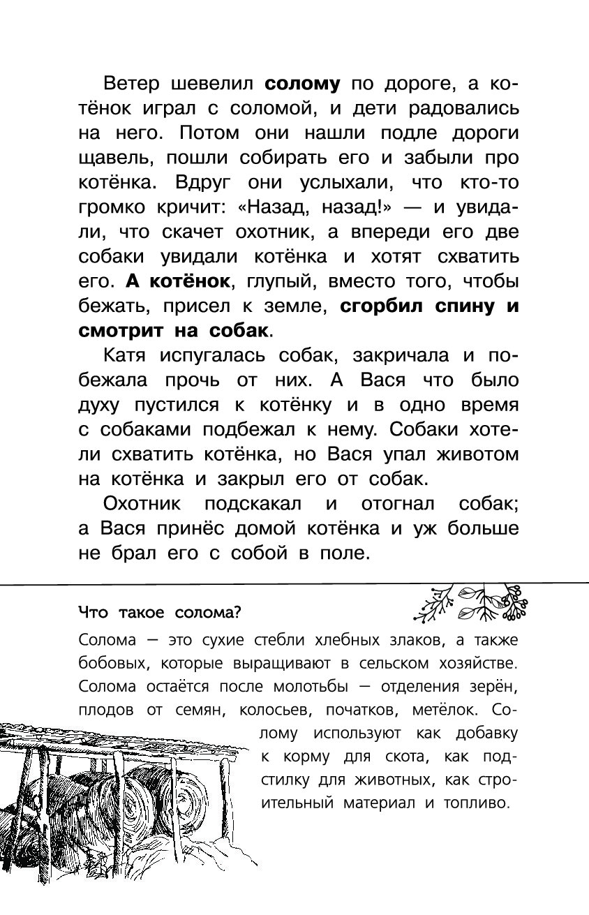 Котенок булька читать. Лев толстой Булька. 3 Л.Н. толстой «Булька». Лев Николаевич толстой рассказ Булька. Л.Н.толстой Мильтон и Булька.