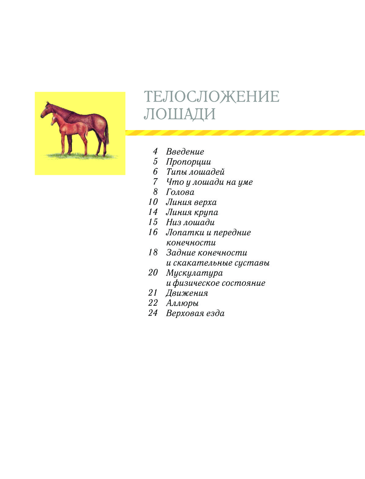 Какие бывают клички у лошадей. Лошади большая иллюстрированная энциклопедия. Как можно назвать лошадку. Как назвать лошадь имена.
