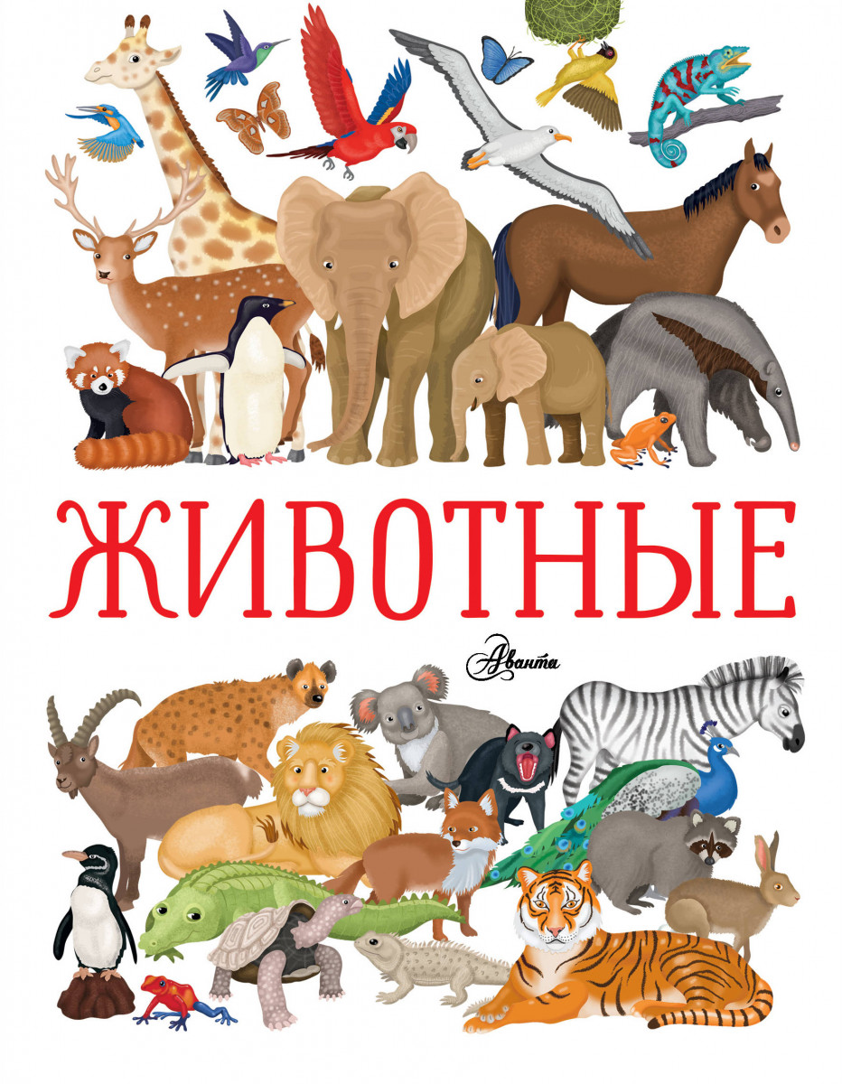 Животные Животные