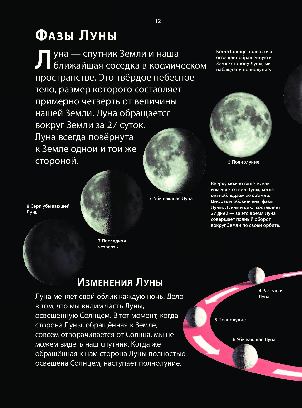 Цикл Луны