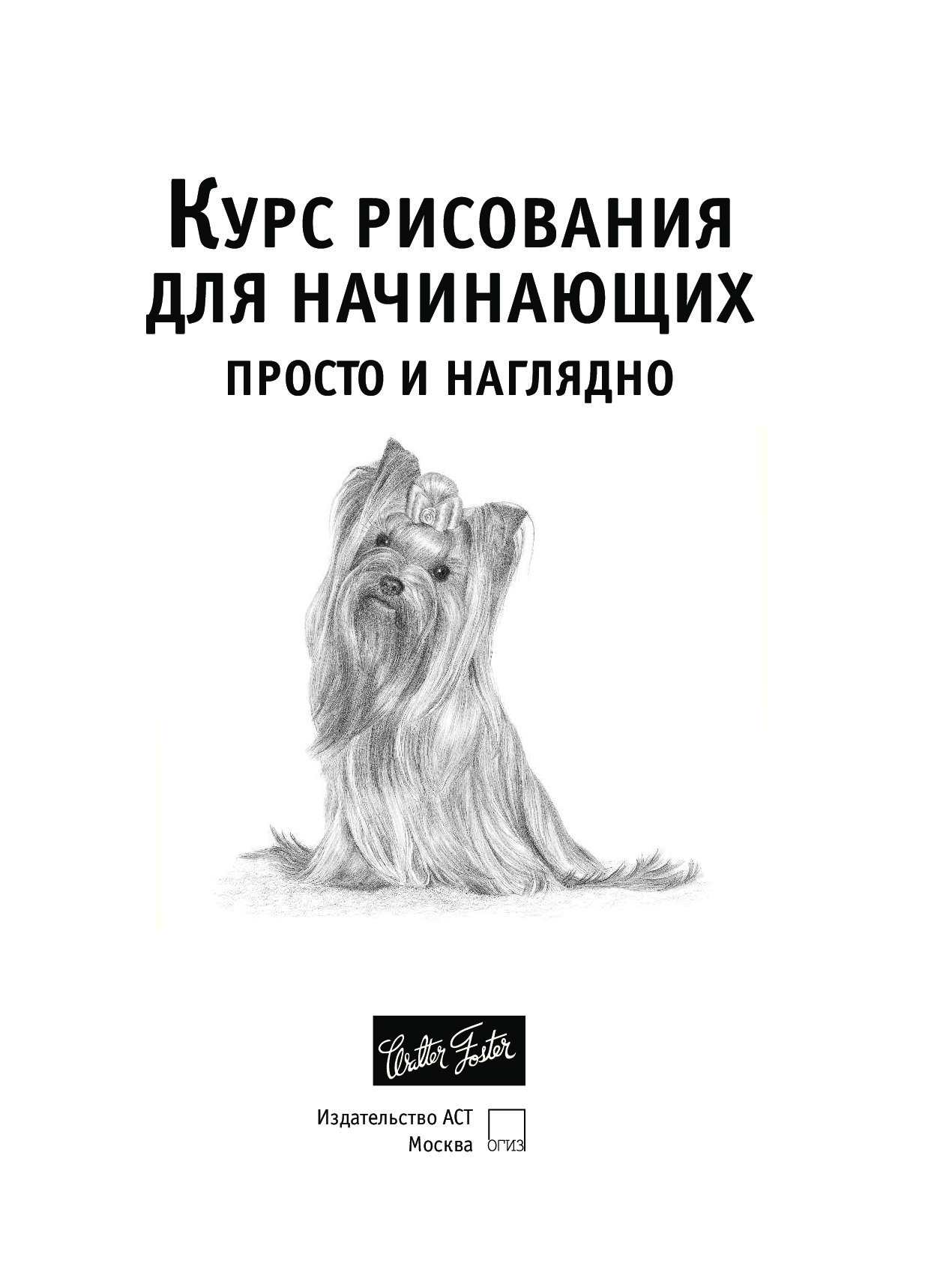 Книга курс рисования для начинающих просто и наглядно