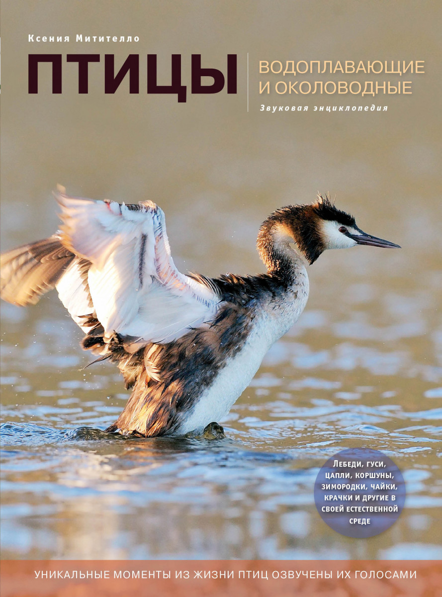 Книга птицы. Птицы водоплавающие и околоводные звуковая энциклопедия. Звуковая энциклопедия Ксения Митителло. Птицы. Энциклопедия. Птицы водоплавающие и околоводные книга.