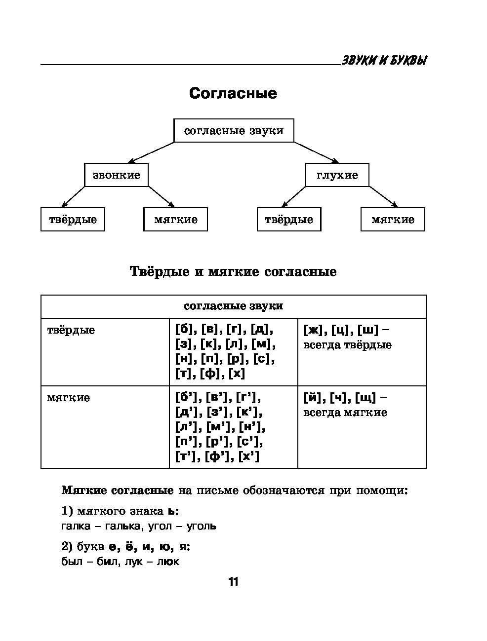 shemi-na-grammatiku-popki-zhenskie-seks-foto