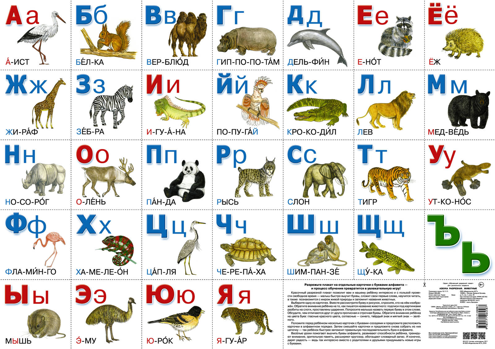 Животные на букву в с картинками