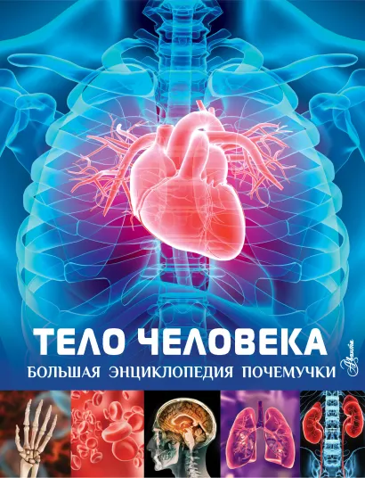 Тело человека Тело человека