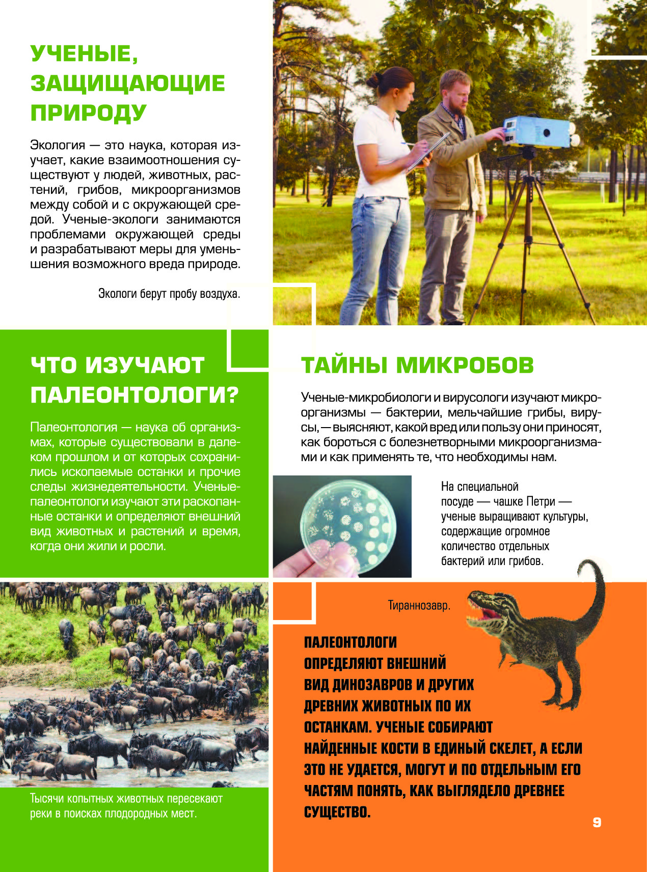 Гигантская Детская Энциклопедия С Дополненной Реальностью Купить