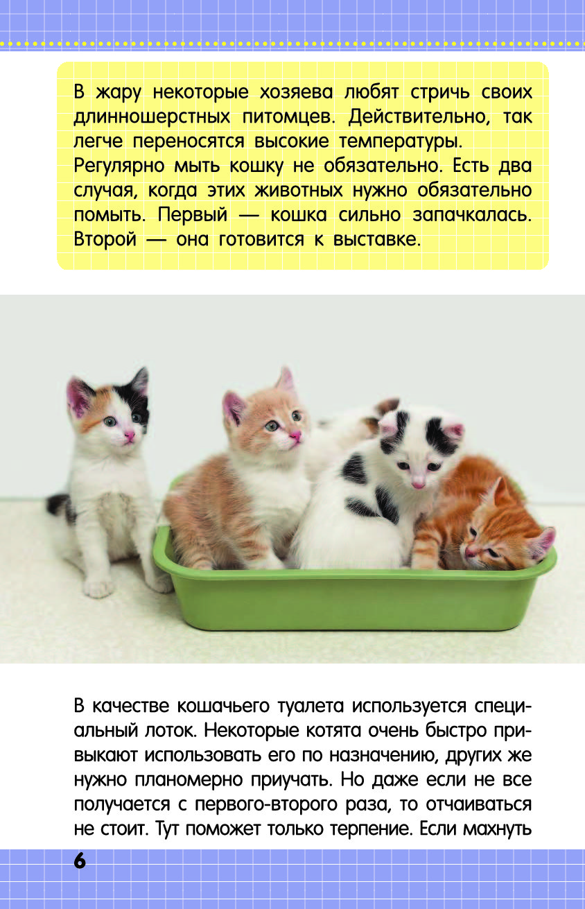 9 качеств кошки. Кошки и котята книга. Про котят котов и кошек книга. Д. С. Смирнов кошки и котята. Всё про кошек читать.
