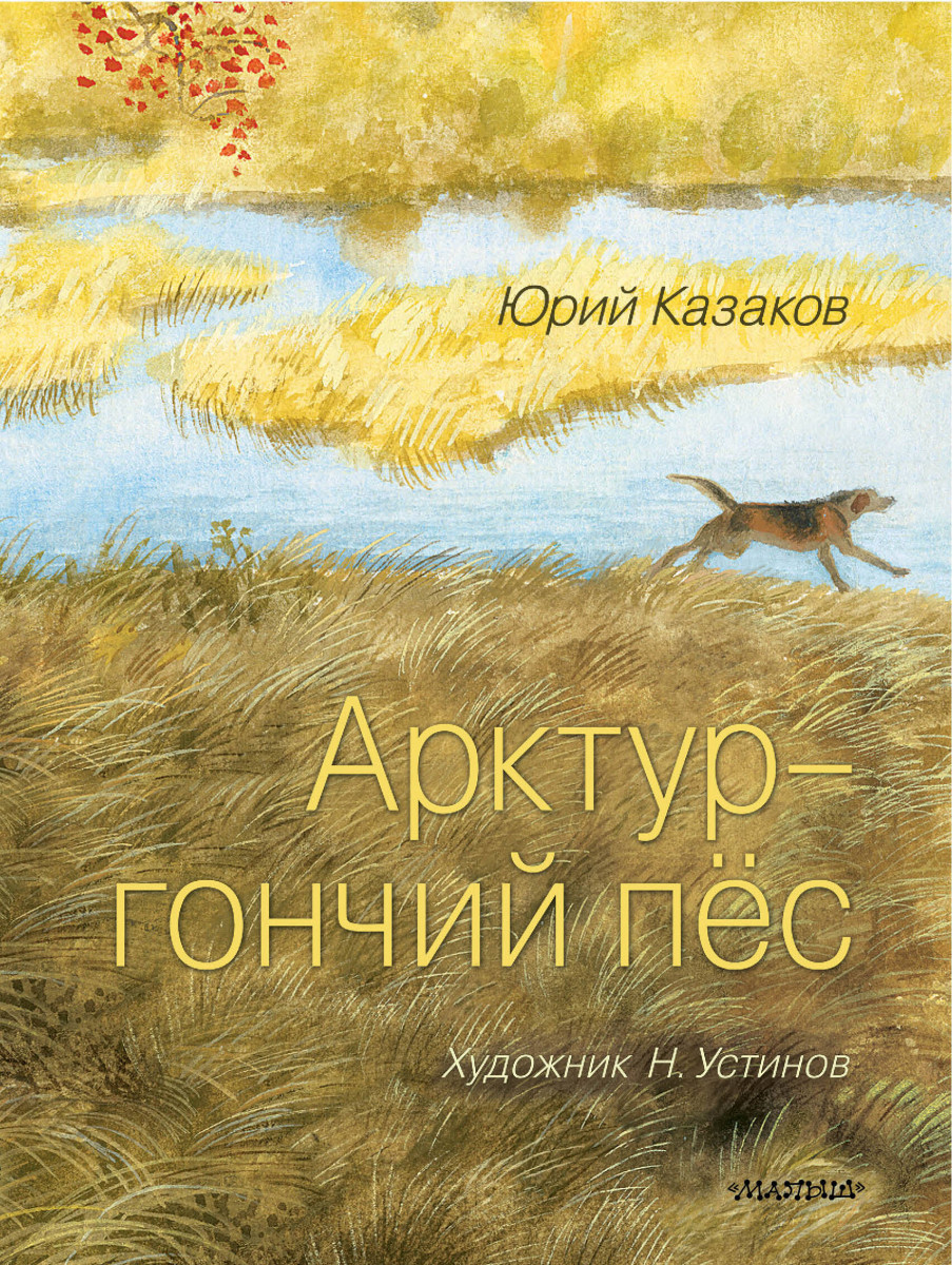 Арктур - гончий пёс. Рис. Н. Устинова Арктур - гончий пёс. Рис. Н. Устинова