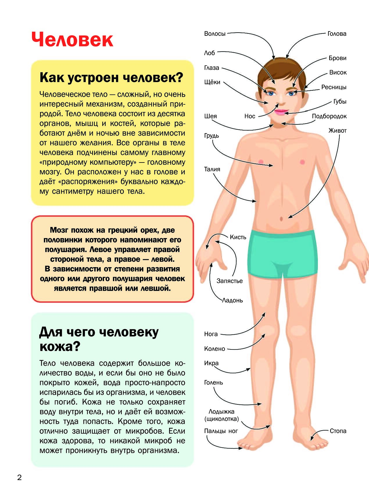 5000 картинок которые можно