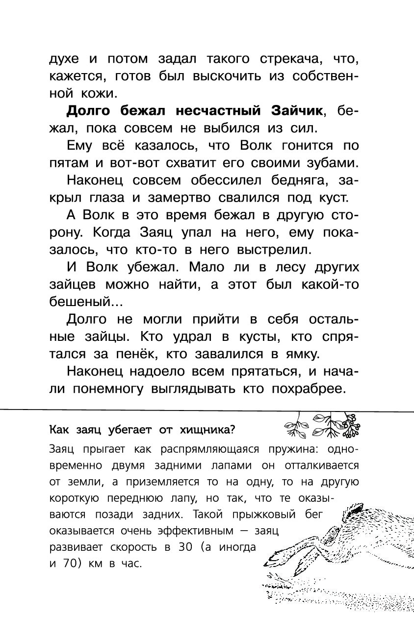 По пятам гнались значение. Долго бежал несчастный зайчик. Долго бежал несчастный зайчик пока.