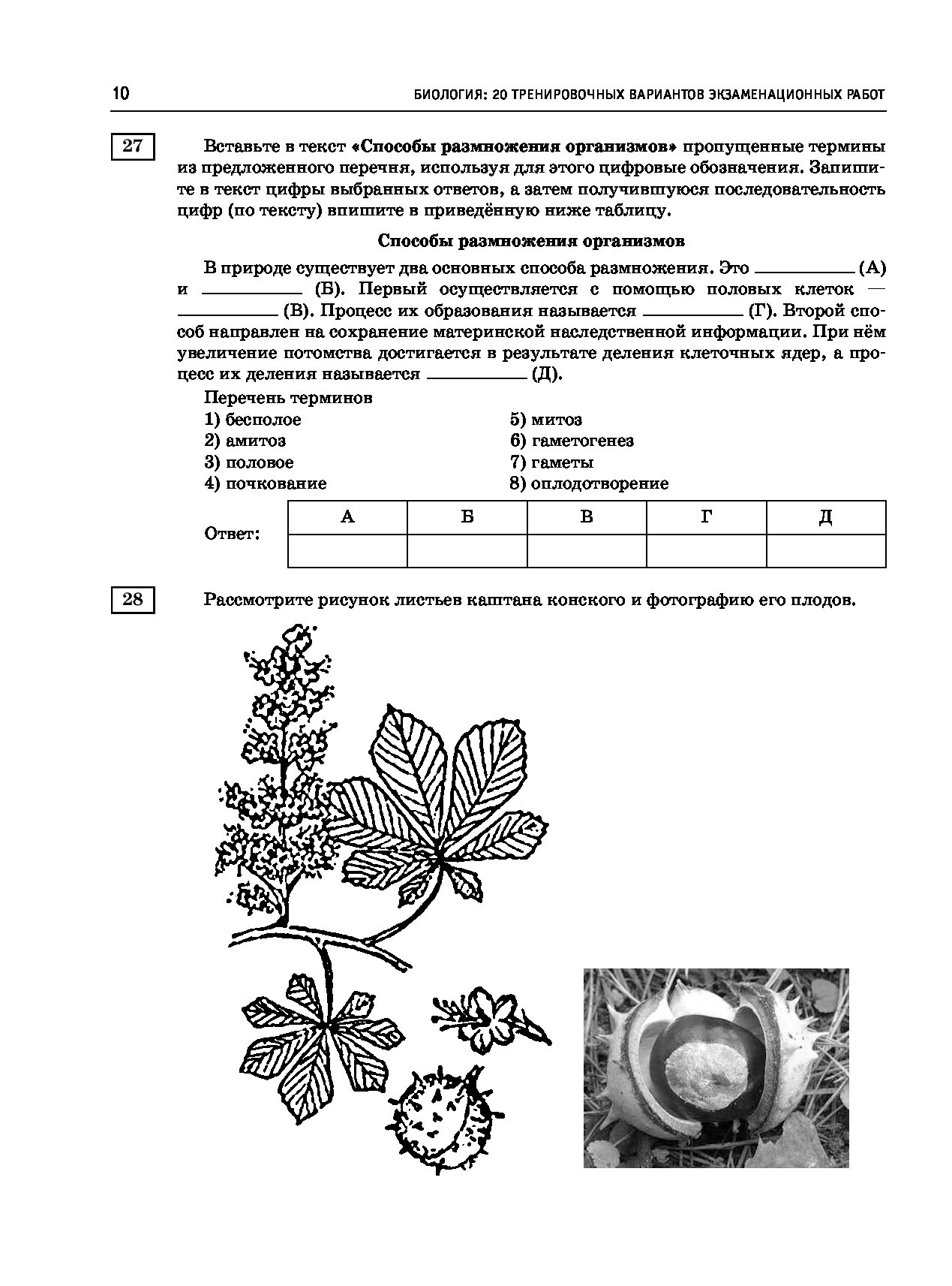 Рисунки по биологии огэ