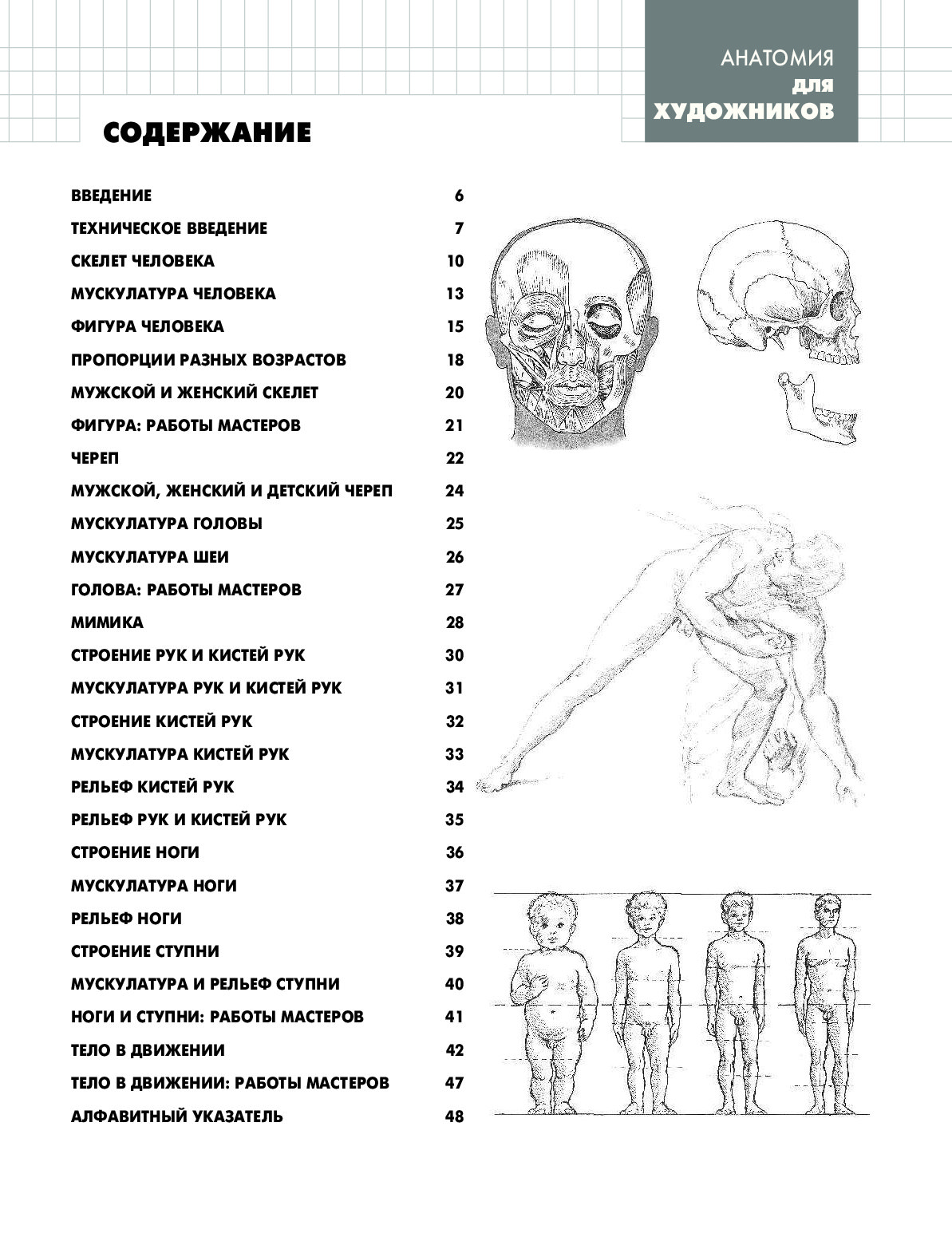 Краткое содержание анатомии. Барбер Баррингтон анатомия для художников pdf. Книга анатомия для художников Баррингтон барбер. Анатомия для художников фигура человека. План изучения анатомии человека для художников.