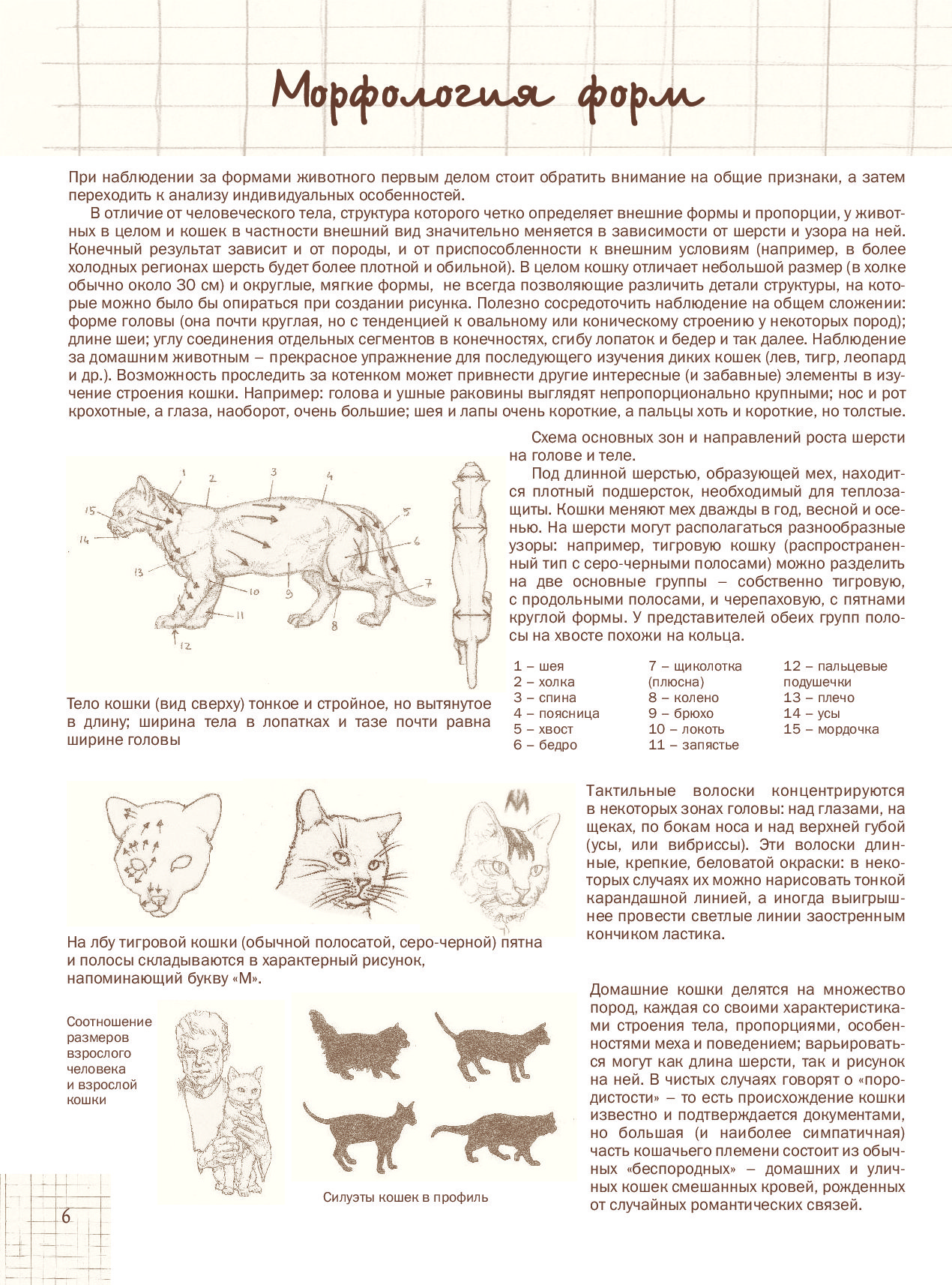 Мальчик который рисовал кошек книга