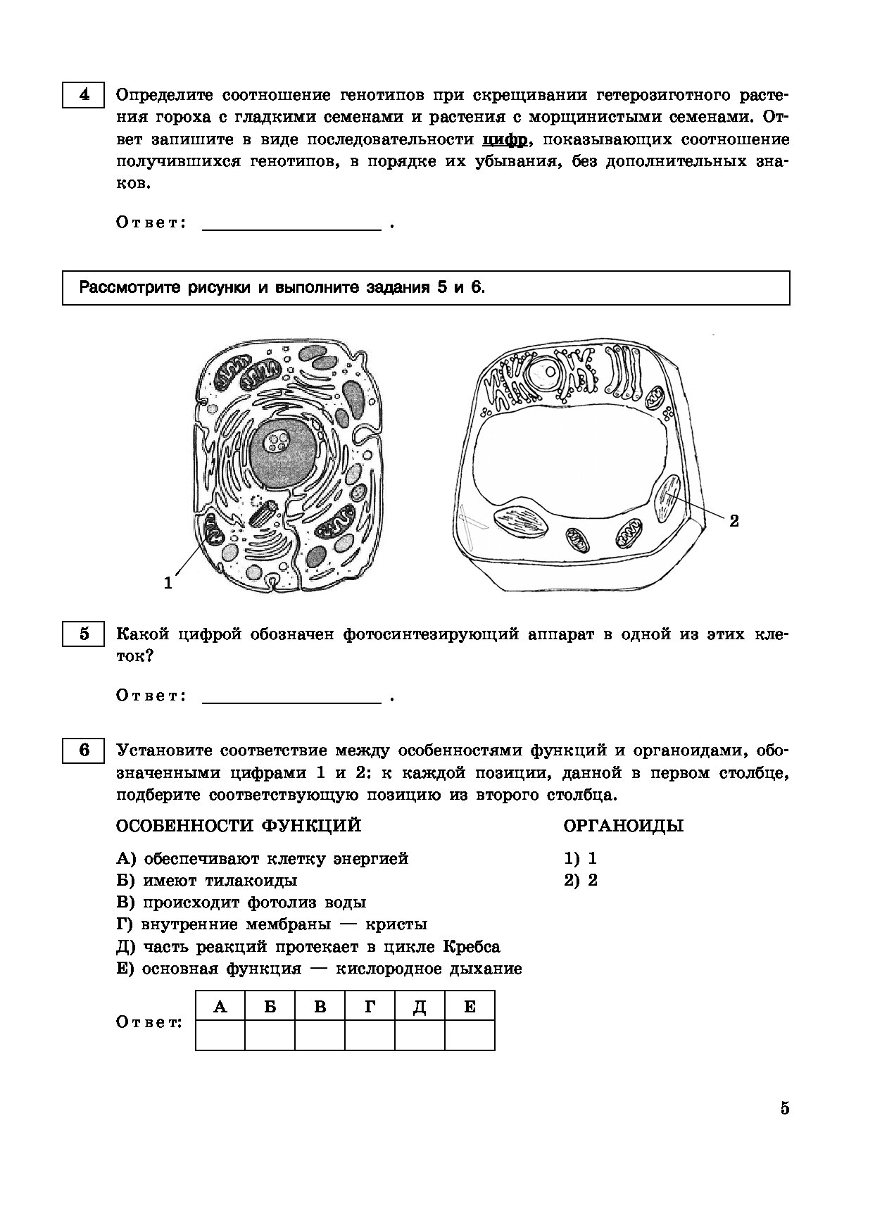 Егэ по биологии 2023