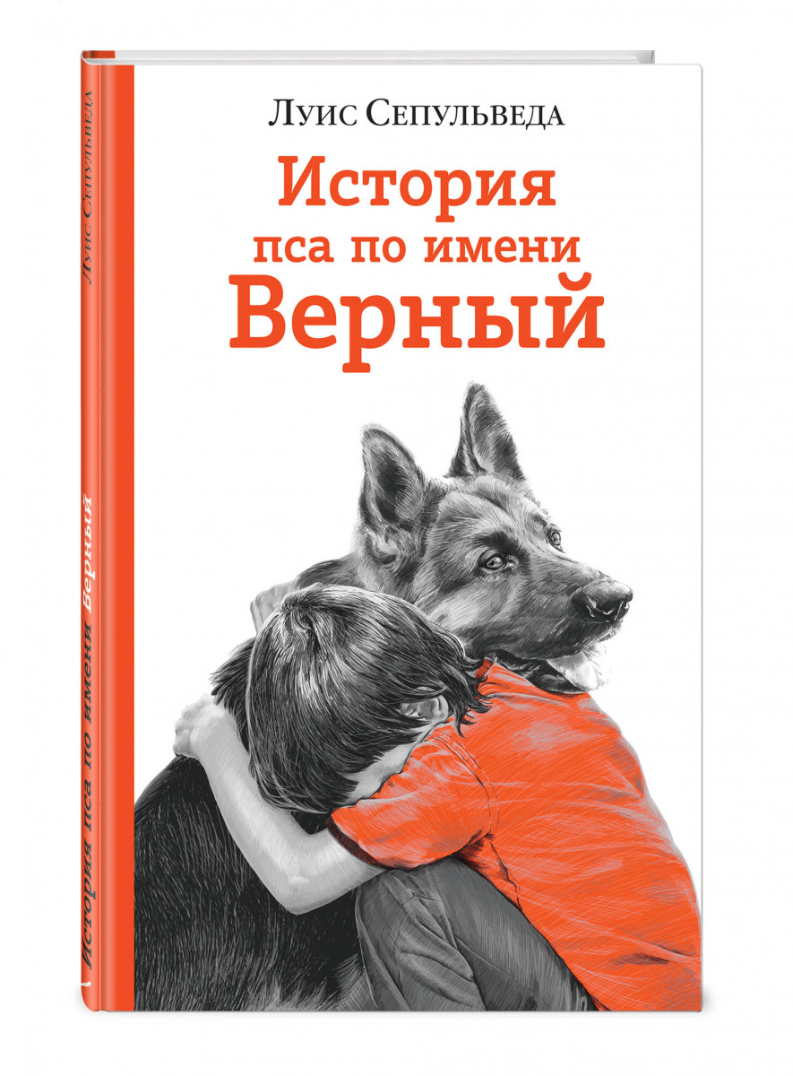 Верный вопрос книга. Иллюстрации 1.Луис Сепульведа история пса по имени верный. Книги о собаках Художественные. Книги про животных Художественные. Книга с собакой на обложке.