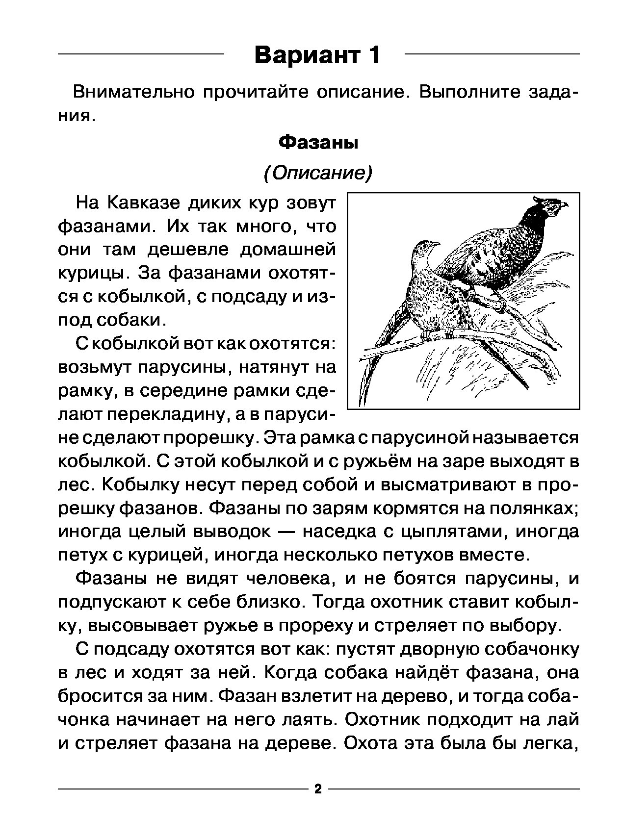 Фазан текст. Комплексная работа про фазанов с ответами. Комплексная работа 4 класс. Комплексные задания 4 класс. Итоговые комплексные работы 4 класс.