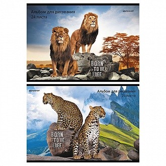 Альбом д/рис. 24 л. А4 скреп. ХИЩНЫЙ КЛАН мел. карт. спл. Уф-лак