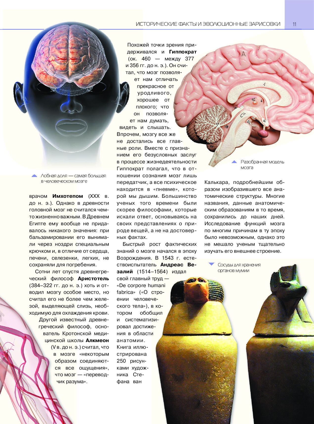 Читать книгу для мозгов. Книга мозг. Исследование мозга книга. Мозг с книжкой. Книги про мозг и психологию.