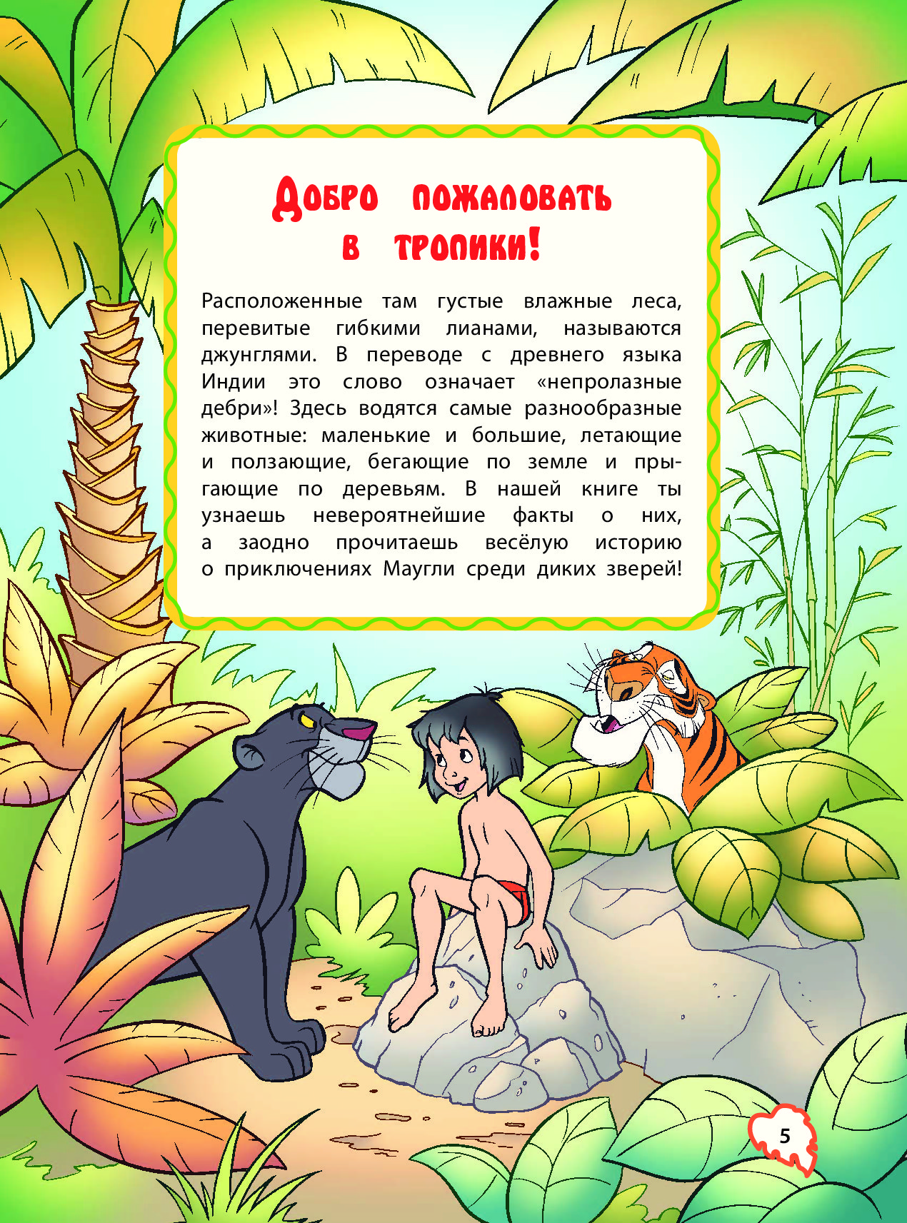 Описание джунглей. Маугли книга джунглей книга. Маугли иллюстрации к книге. Законы джунглей из книги Маугли. Обитатели джунглей с Маугли книга.