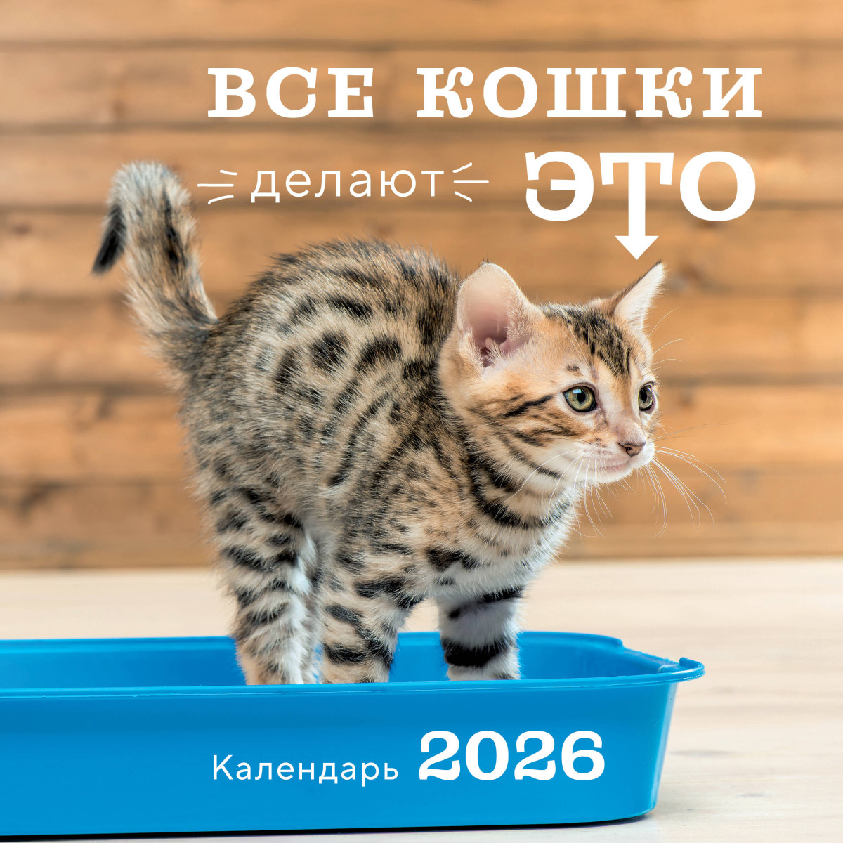 Все кошки делают это. Календарь настенный на 2026 год (300х300) Все кошки делают это. Календарь настенный на 2026 год (300х300)