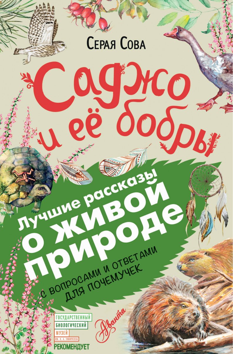 Купить книгу Саджо и её бобры Серая Сова | Book24.kz