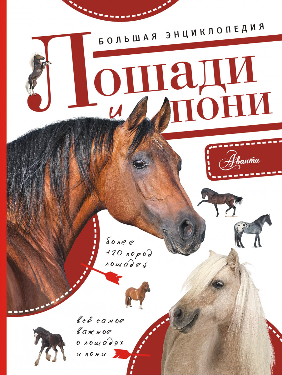 Купить книгу Большая энциклопедия. Лошади и пони Волков А.В. | Book24.kz