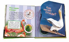 Птицы (Миллион открытий)