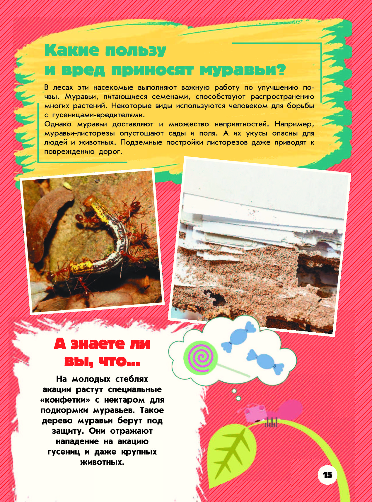 Какую пользу приносит муравьев. Муравей рассказ для детей. Польза от муравьёв. Какую пользу приносит муравьев. Польза и вред муравьев.