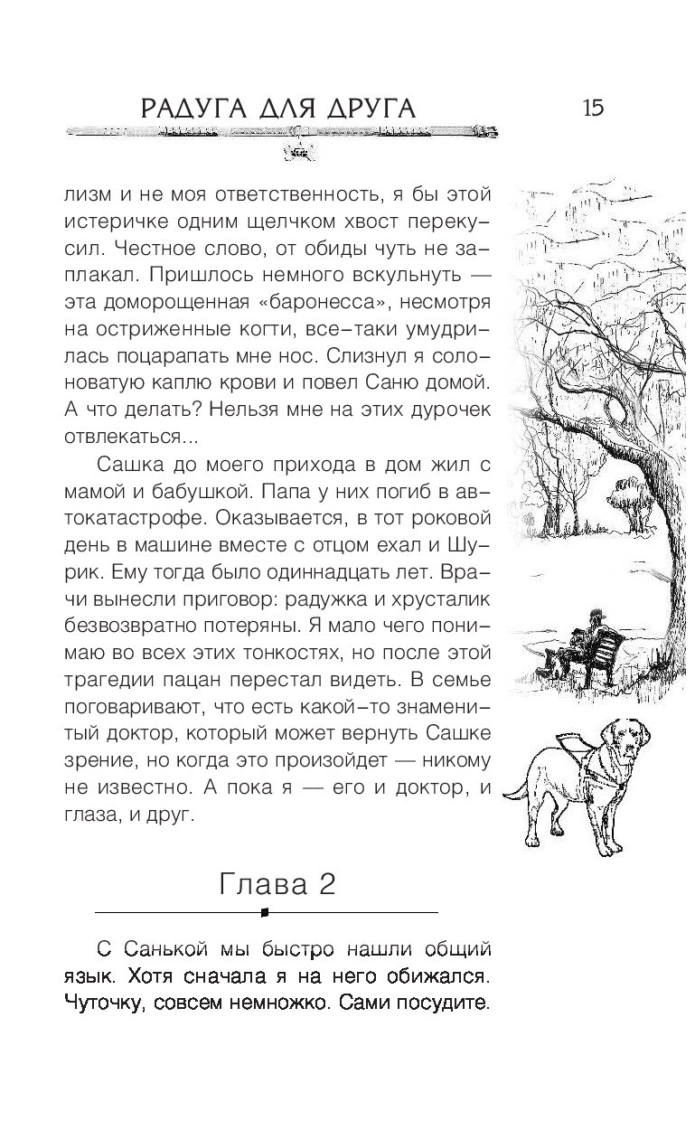 Самарский радуга для друга читать. Радуга для друга книга читать. Сколько страниц в книге Радуга для друга. Радуга для друга краткое содержание. Радуга для друга количество страниц.