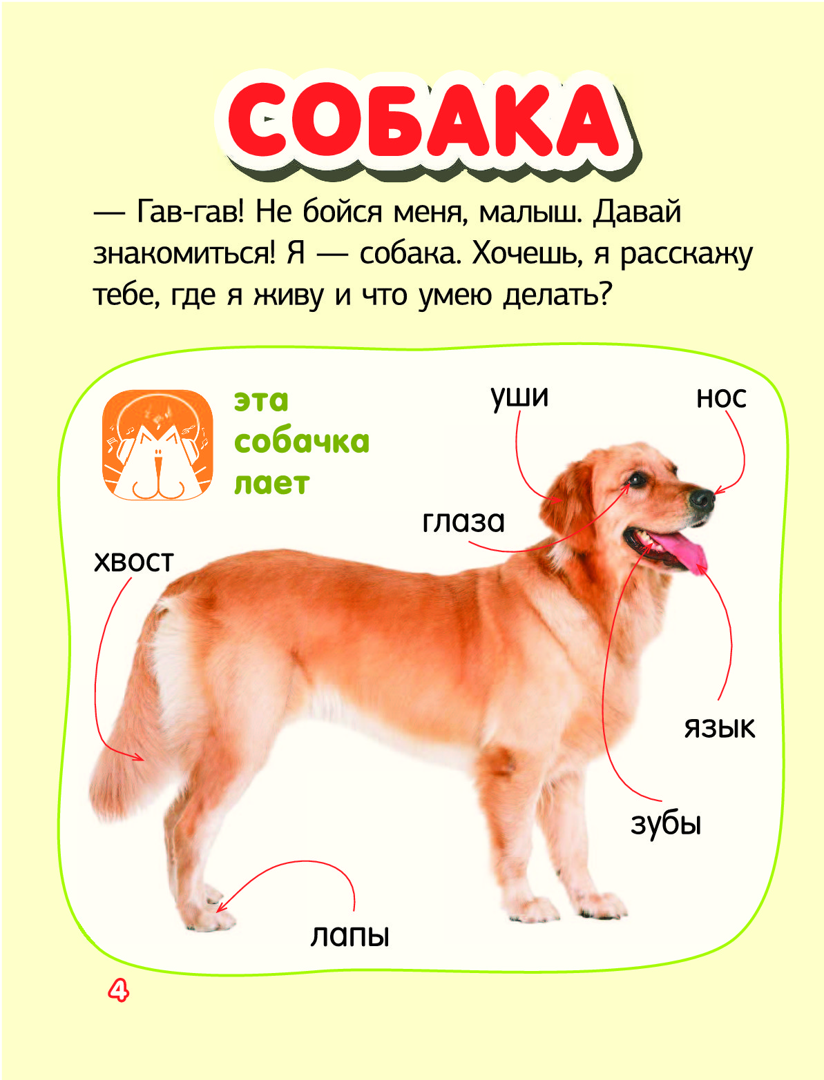 Гав собаки. Гав! Гав!. Гав Гав Гав Гав Гав Гав Гав Гав Гав Гав. Что не умеет делать собака. Собака Гав-Гав карточка.