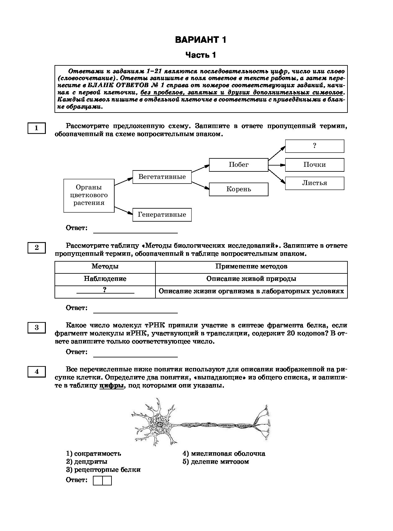 Тренировочный вариант по биологии. КИМЫ ЕГЭ по биологии 2021. ЕГЭ по биологии 2021 тренировочные. Прилежаева биология ЕГЭ 2020. ЕГЭ по биологии 2021 тренировочные варианты.