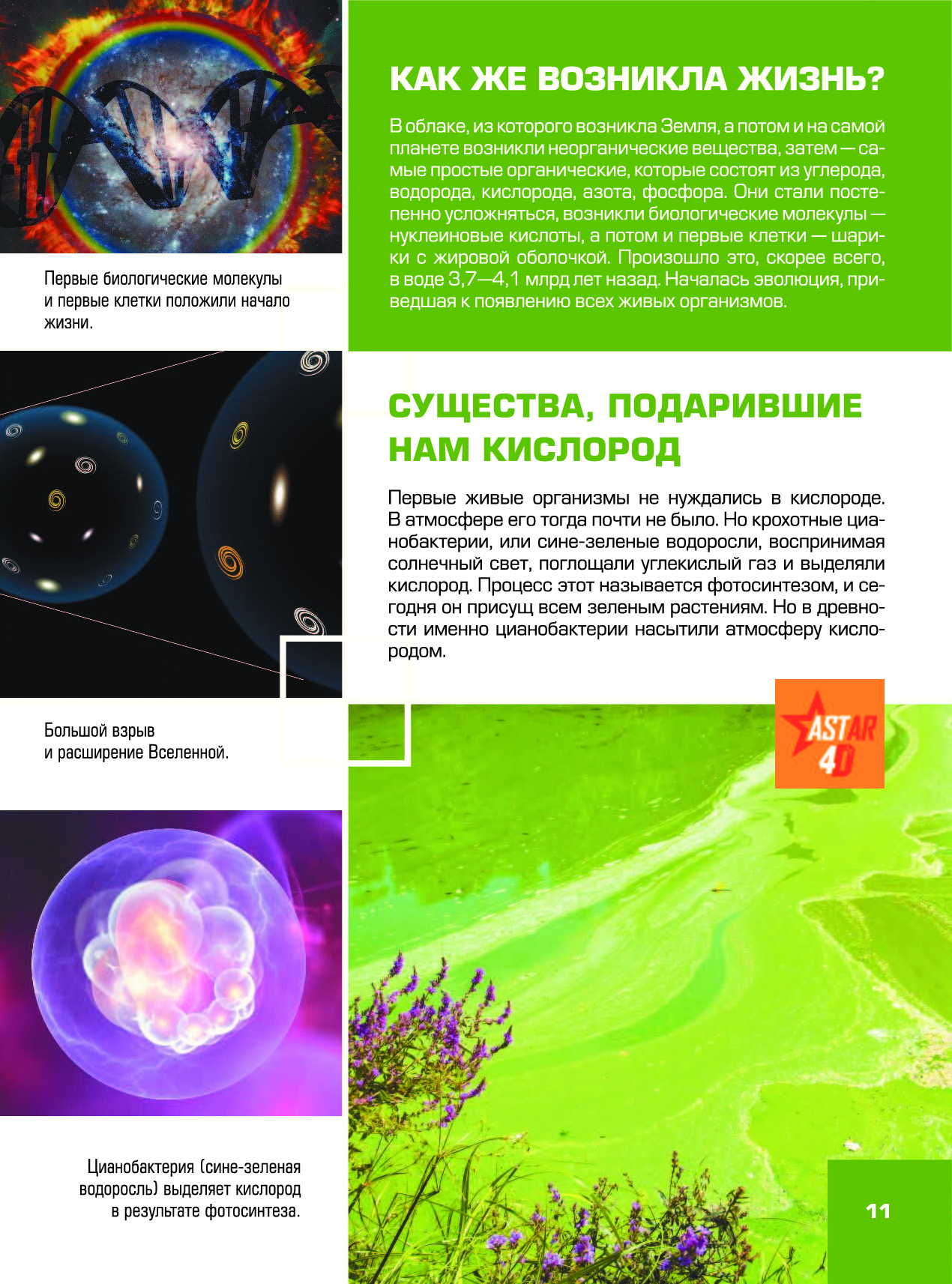 Гигантская Детская Энциклопедия С Дополненной Реальностью Купить