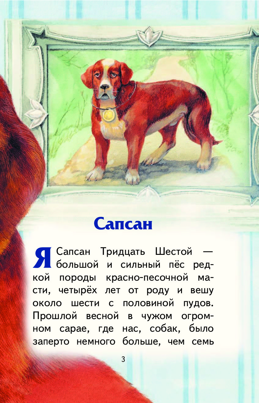 Литература 5 класс про животных. Рассказ о собаке. Рассказы про собак для детей. Рассказ про щенка. Маленький рассказ про собаку.