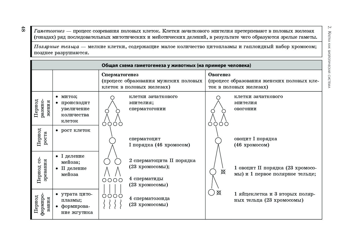 Биология ионцева в схемах