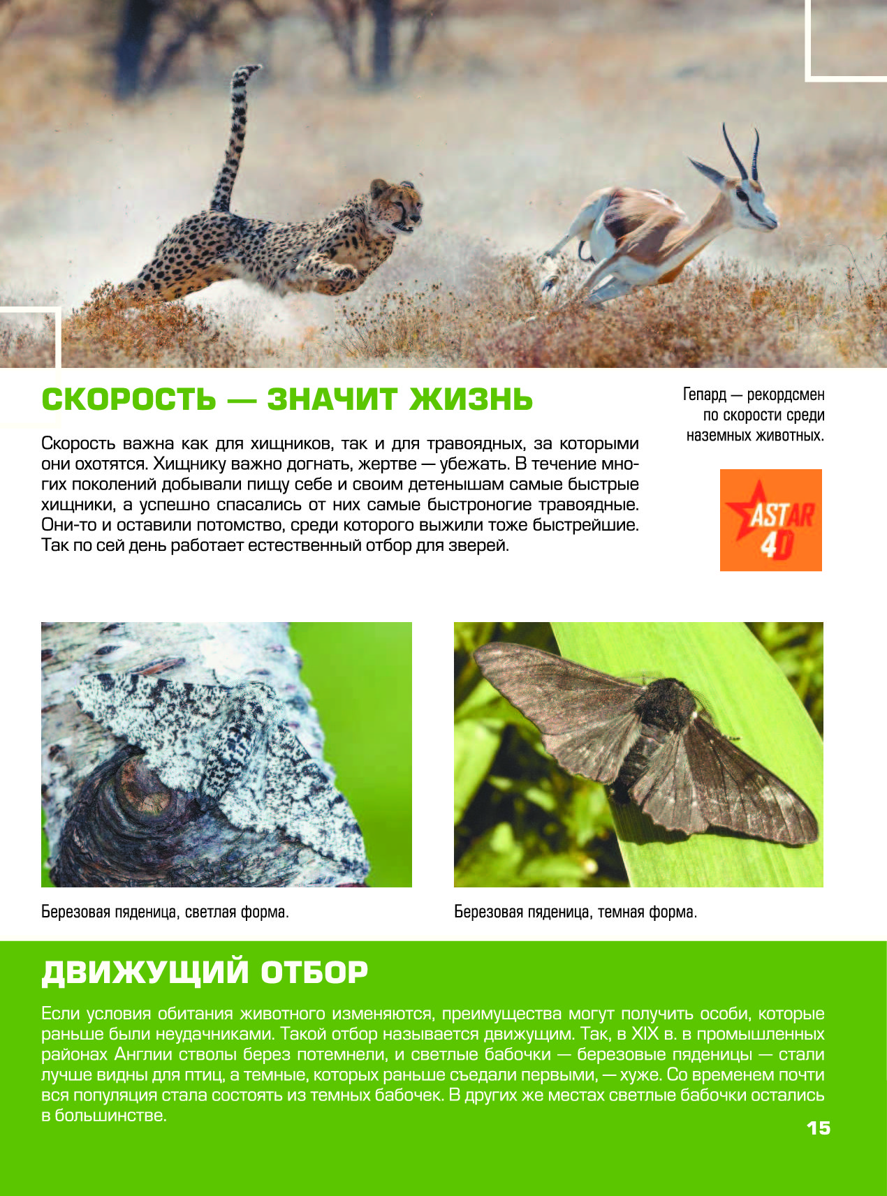 Гигантская Детская Энциклопедия С Дополненной Реальностью Купить