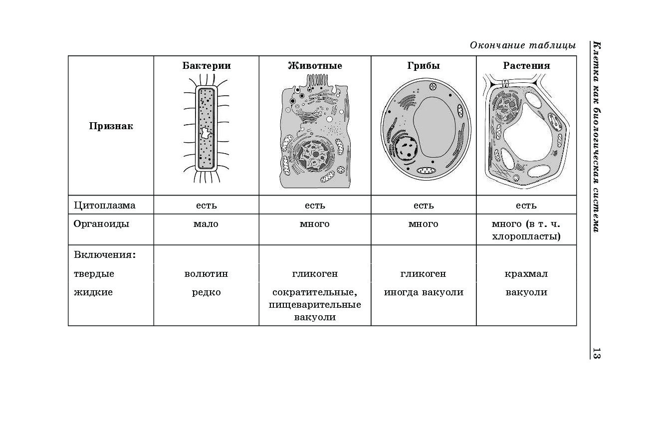 Строение клеток растений и бактерий. ЕГЭ биология схемы. Биология ЕГЭ таблицы. Биология схемы и таблицы для ОГЭ. Биология 5 класс в таблицах и схемах.