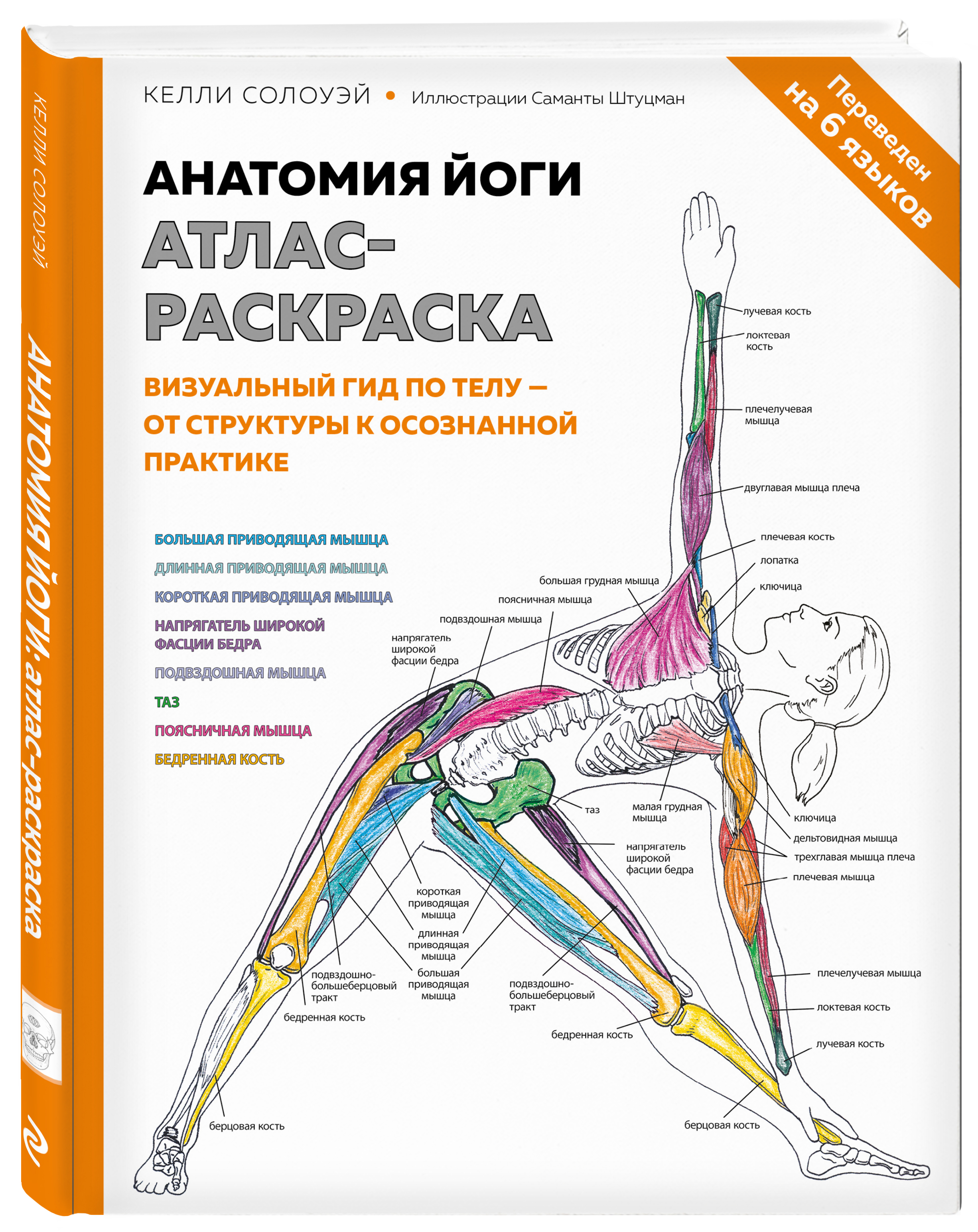 Купить книгу Анатомия йоги: атлас-раскраска. Визуальный гид по телу — от  структуры к осознанной практике Солоуэй К. | Book24.kz