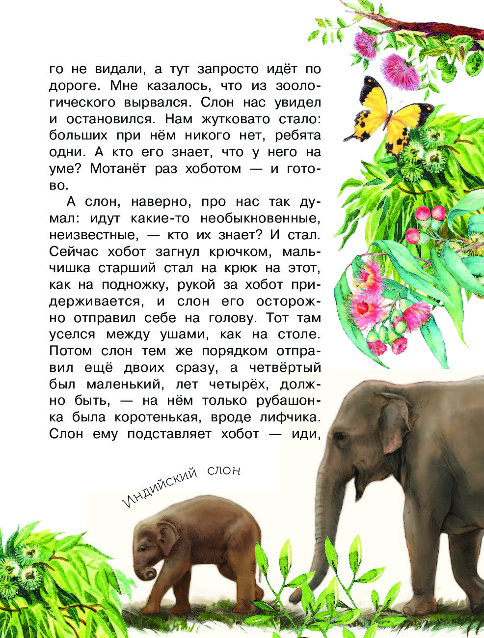 небольшой рассказ о животных. рассказы о животных читать. и даже больше рассказов о животных. рассказы о животных большие рассказы. книги про животных художественные.