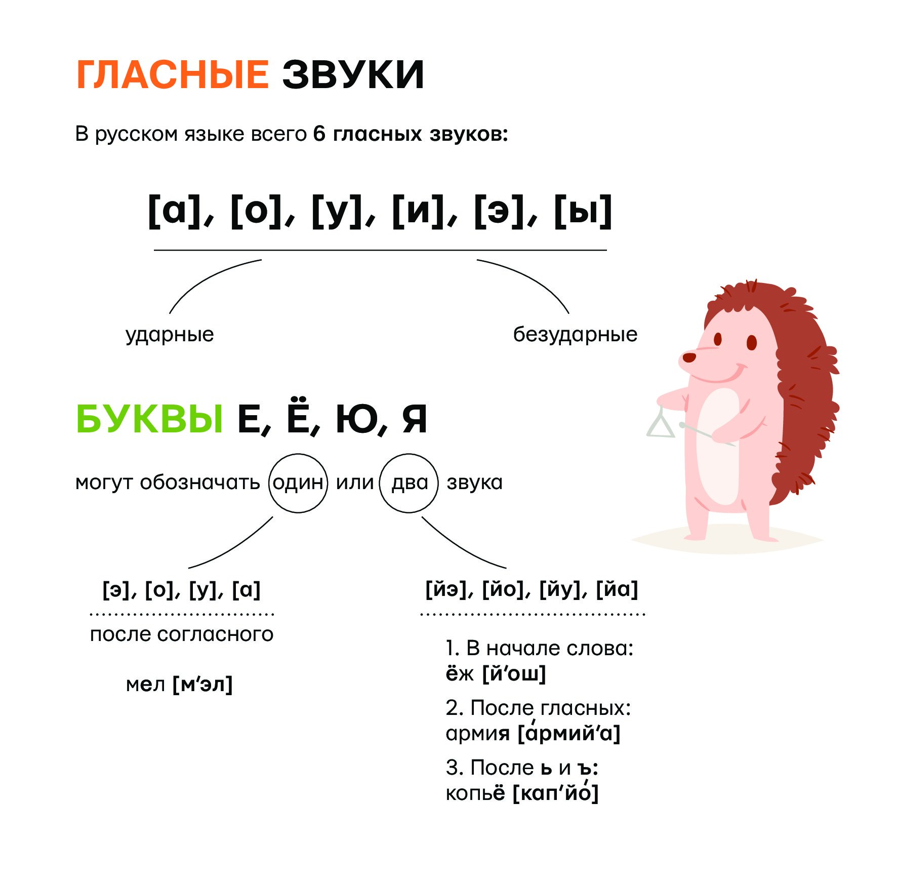 Правила русского языка в картинках