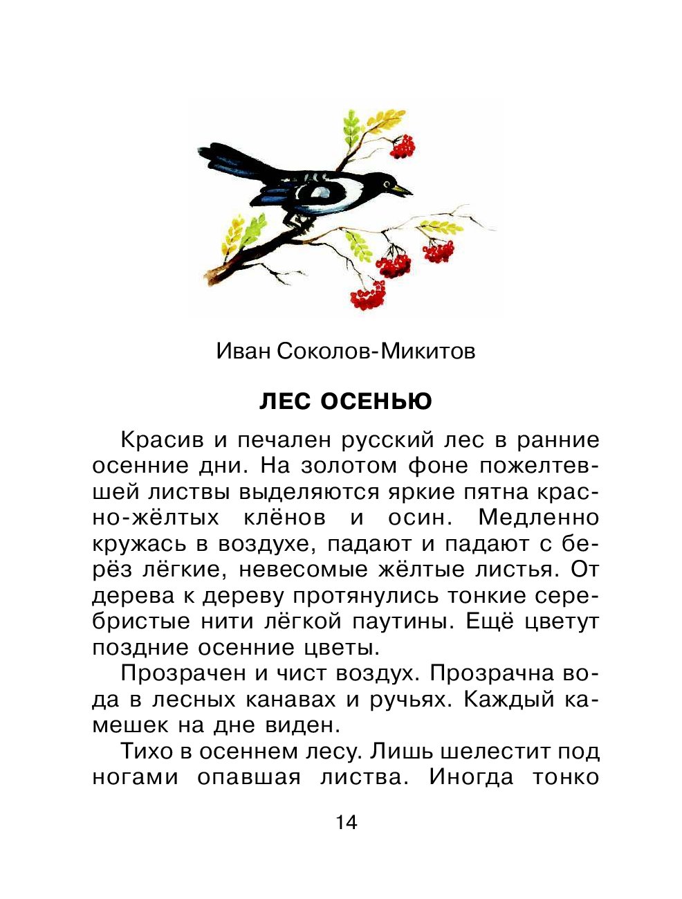 Текст красив и печален русский лес. Красив и печален русский лес в ранние. Особенно красив и печален русский лес в ранние. Красив и печален русский лес ранней осенью. Тип речи красив и печален русский лес в ранние осенние дни.