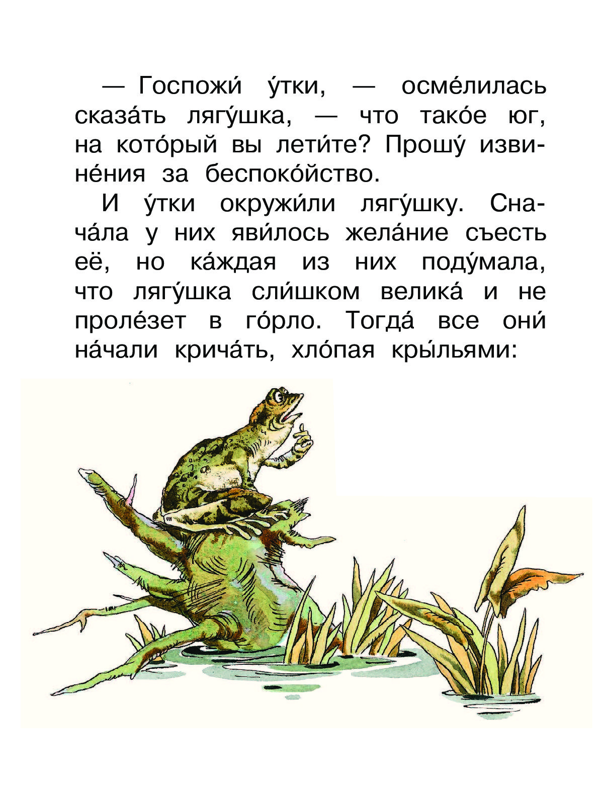 Сказка жаба читать. Сказка лягушка путешественница. Чтение сказки лягушка. Рассказ лягушка путешественница. Рассказы и сказки о лягушках.
