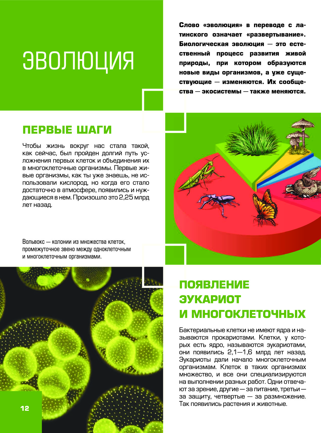 Гигантская Детская Энциклопедия С Дополненной Реальностью Купить