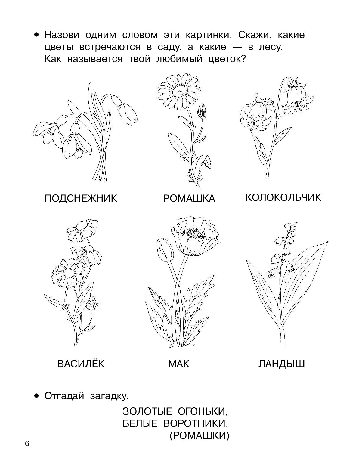 Развитие речи тема цветы