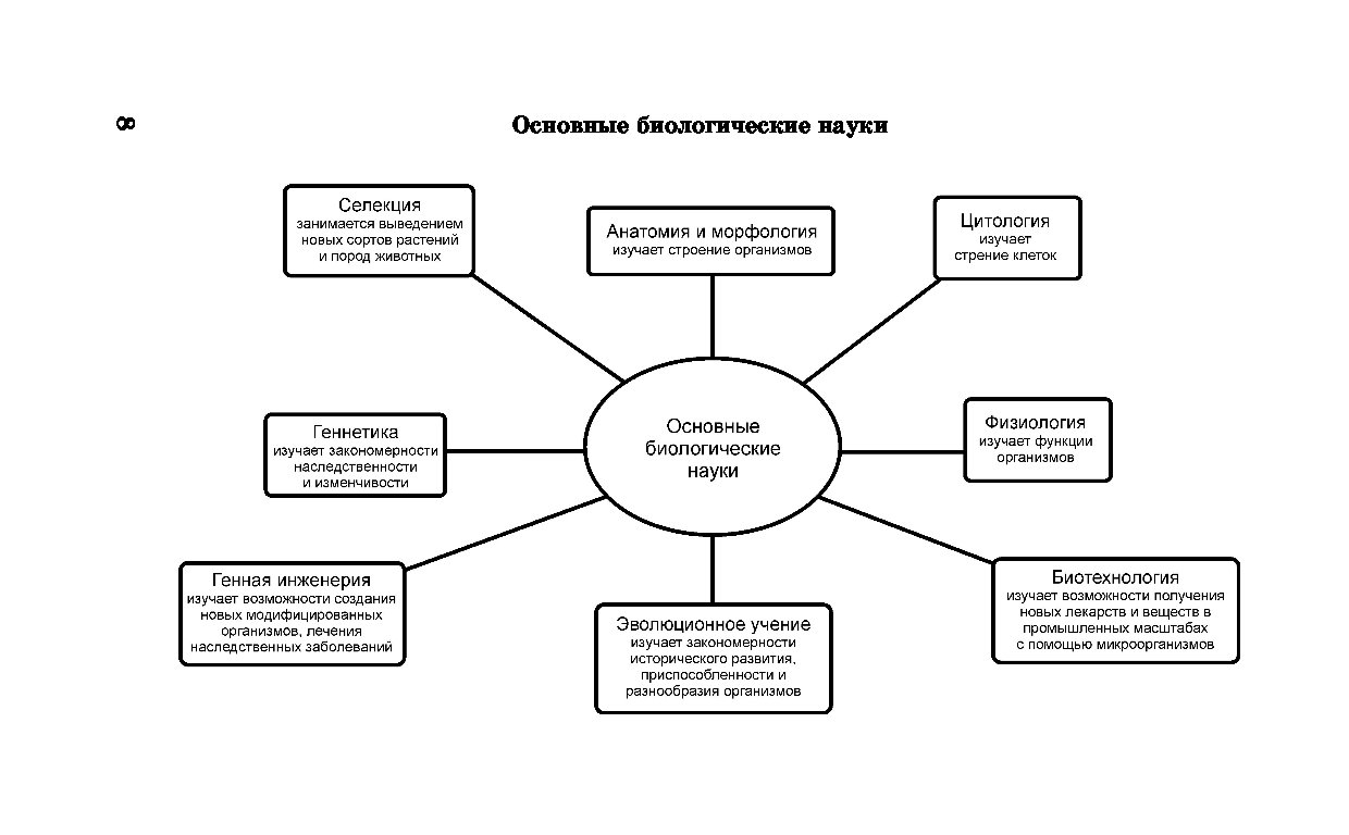 Основные биологии. Основные биологические науки. Основные науки в биологии. Науки биологии схема. Схема биологических наук.