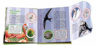 Птицы (Миллион открытий)