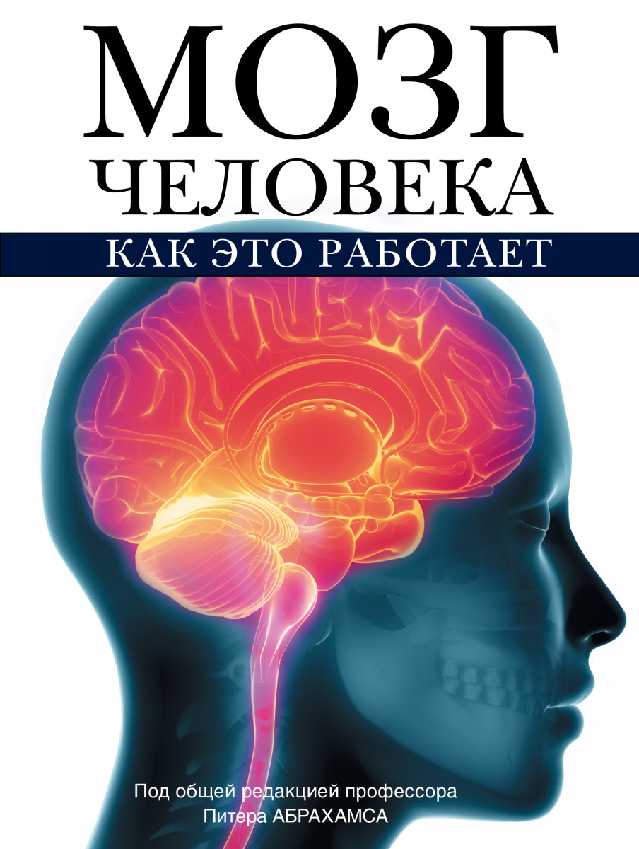 Книги про мозг. Питер Абрахамс мозг человека книга. Питер Абрахамс: анатомия человека. Атлас. Книжка про мозг.