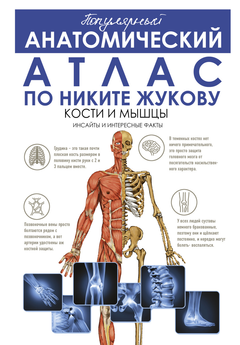 Купить Популярный анатомический атлас по Никите Жукову: кости и мышцы.  Инсайты и интересные факты Жуков Н.Э. | Book24.kz