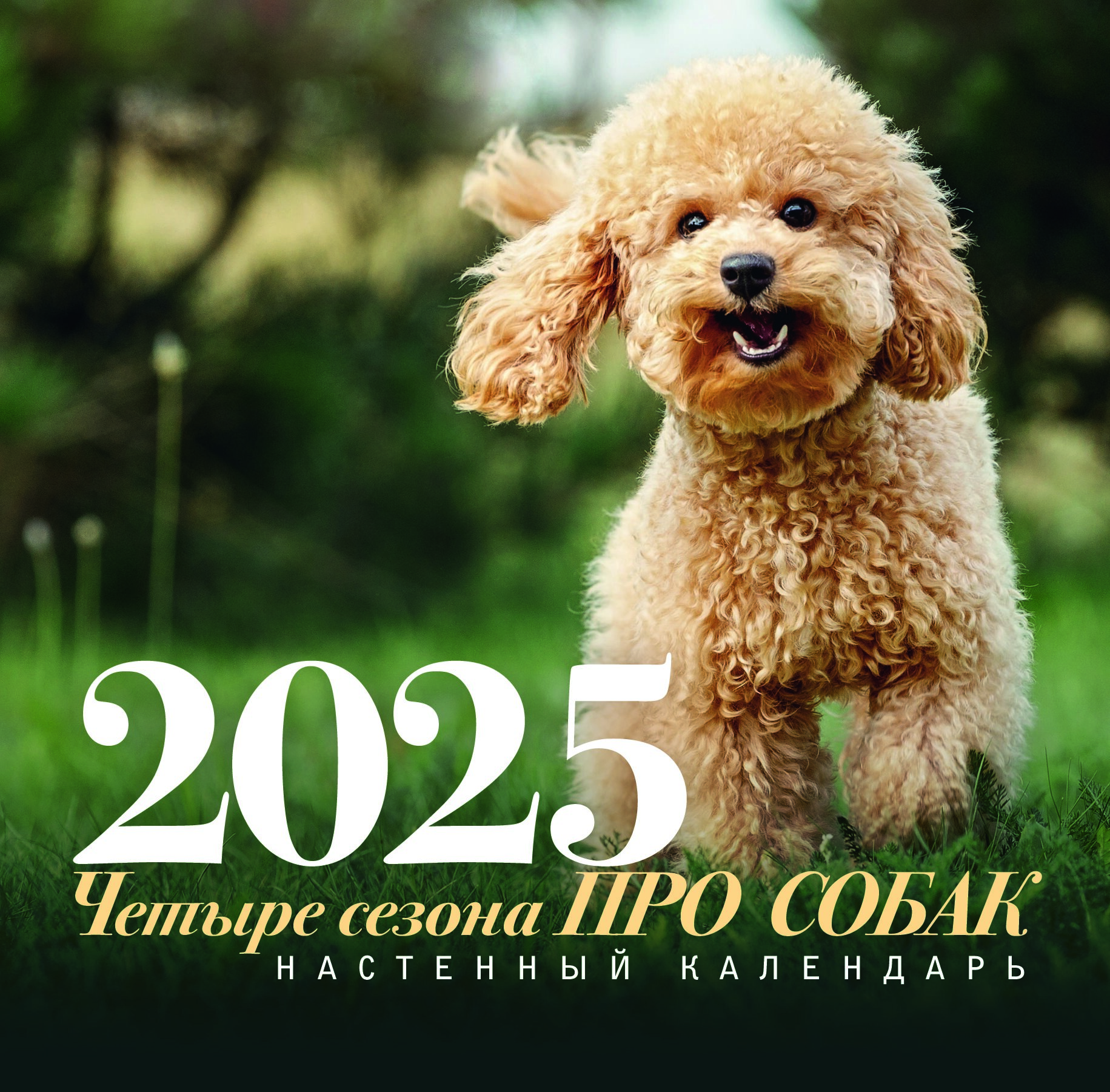 Фото Про 2025 Год