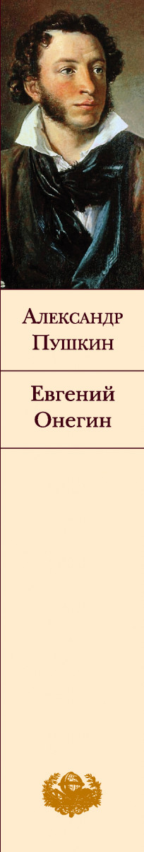 Пушкин онегин читательский дневник 9 класс