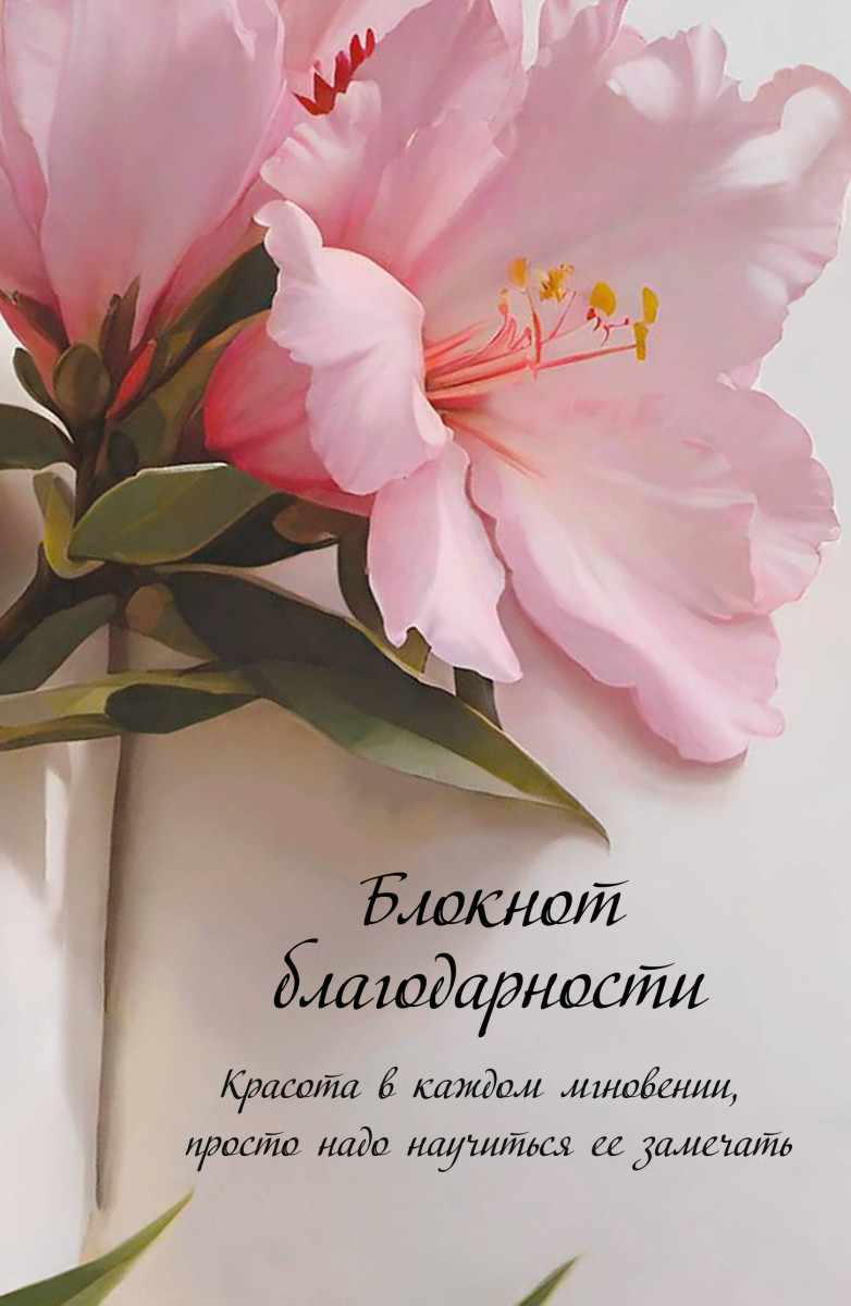 Блокнот благодарности. Красота в каждом мгновении, просто надо научиться ее замечать Блокнот благодарности. Красота в каждом мгновении, просто надо научиться ее замечать